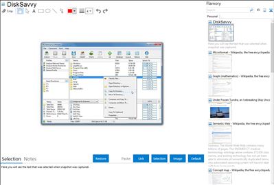 DiskSavvy - Flamory bookmarks and screenshots