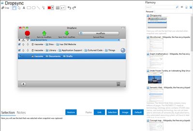 Dropsync - Flamory bookmarks and screenshots