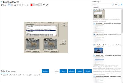 DupDetector - Flamory bookmarks and screenshots