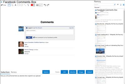 Facebook Comments Box - Flamory bookmarks and screenshots