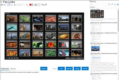 Fav-Links - Flamory bookmarks and screenshots