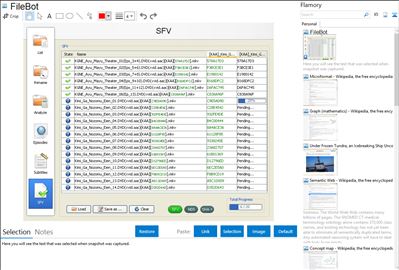 FileBot - Flamory bookmarks and screenshots