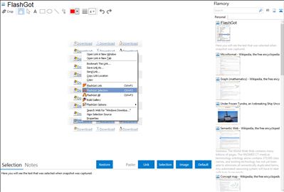 FlashGot - Flamory bookmarks and screenshots