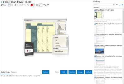 Flex/Flash Pivot Table - Flamory bookmarks and screenshots
