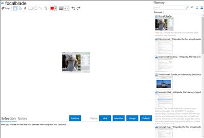 focalblade - Flamory bookmarks and screenshots
