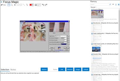 Focus Magic - Flamory bookmarks and screenshots