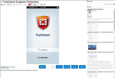 FortiClient Endpoint Protection - Flamory bookmarks and screenshots