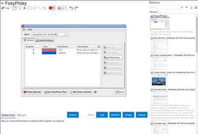 FoxyProxy - Flamory bookmarks and screenshots