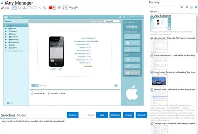iAny Manager - Flamory bookmarks and screenshots