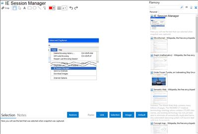 IE Session Manager - Flamory bookmarks and screenshots
