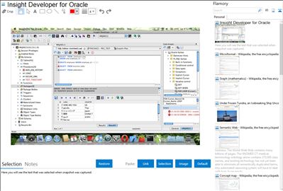 Insight Developer for Oracle - Flamory bookmarks and screenshots