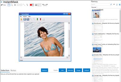 InstantMask - Flamory bookmarks and screenshots