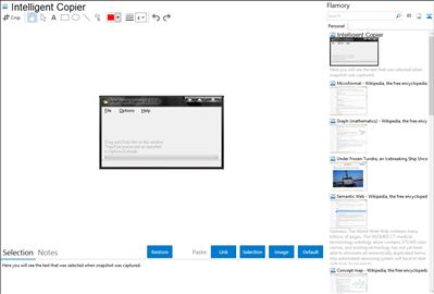 Intelligent Copier - Flamory bookmarks and screenshots