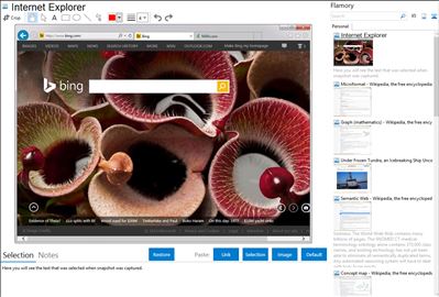 Internet Explorer - Flamory bookmarks and screenshots
