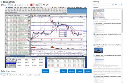 InvestorRT - Flamory bookmarks and screenshots