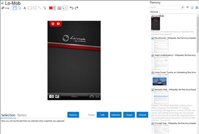 Lo-Mob - Flamory bookmarks and screenshots