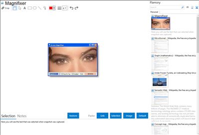 Magnifixer - Flamory bookmarks and screenshots