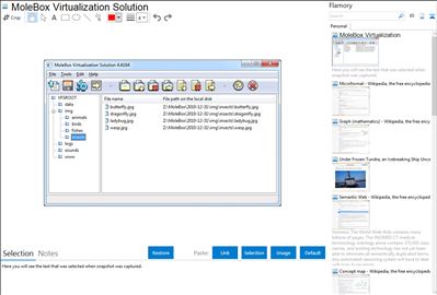MoleBox Virtualization Solution - Flamory bookmarks and screenshots