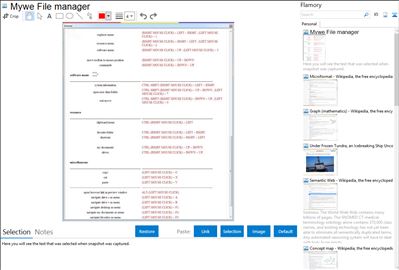 Mywe File manager - Flamory bookmarks and screenshots