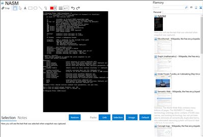 NASM - Flamory bookmarks and screenshots