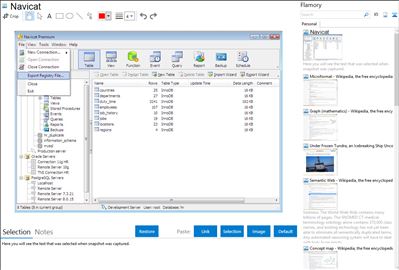 Navicat - Flamory bookmarks and screenshots