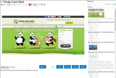 Panda Cash Back - Flamory bookmarks and screenshots
