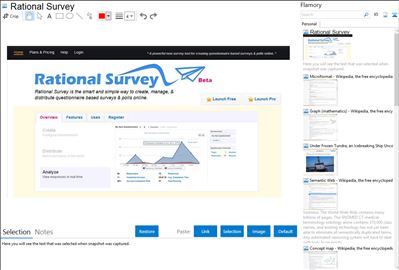 Rational Survey - Flamory bookmarks and screenshots