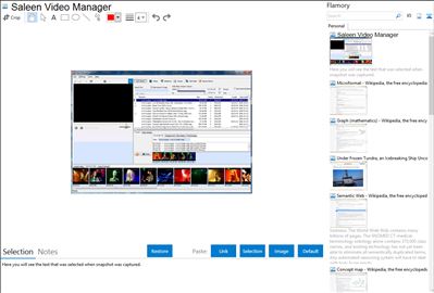 Saleen Video Manager - Flamory bookmarks and screenshots