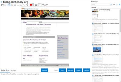 Slang-Dictionary.org - Flamory bookmarks and screenshots