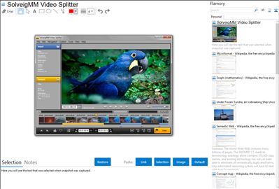 SolveigMM Video Splitter - Flamory bookmarks and screenshots