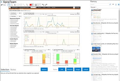 SpiraTeam - Flamory bookmarks and screenshots