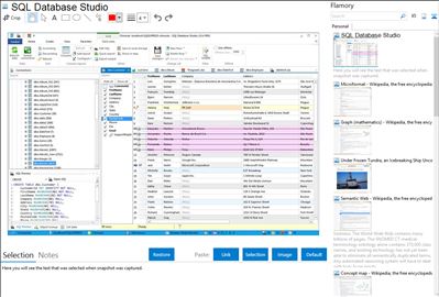SQL Database Studio - Flamory bookmarks and screenshots