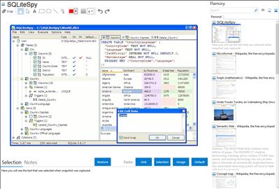 SQLiteSpy - Flamory bookmarks and screenshots
