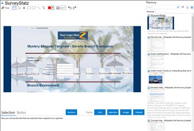 SurveyStatz - Flamory bookmarks and screenshots