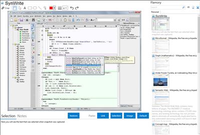 SynWrite - Flamory bookmarks and screenshots