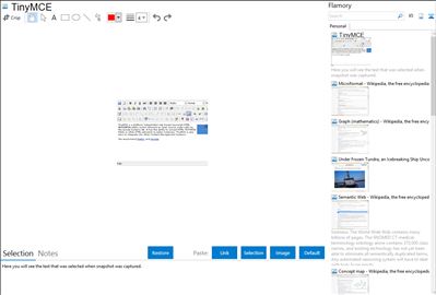 TinyMCE - Flamory bookmarks and screenshots