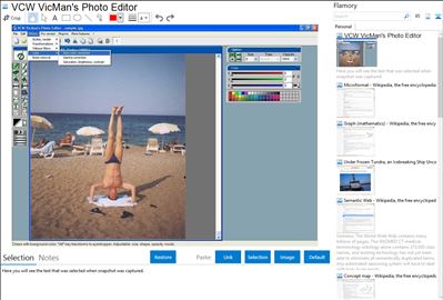 VCW VicMan's Photo Editor - Flamory bookmarks and screenshots