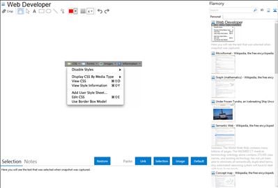 Web Developer - Flamory bookmarks and screenshots
