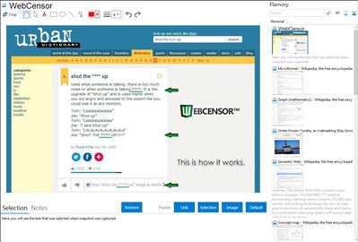 WebCensor - Flamory bookmarks and screenshots