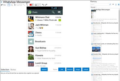 WhatsApp Messenger - Flamory bookmarks and screenshots